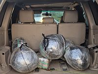 Полиция пресекла попытку контрабанды наркотиков из Иордании на 1,5 млн шекелей