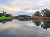 Израиль снова в ожидании дождя. Фоторепортаж