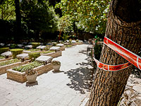 Принят закон о захоронении пожарных и тюремщиков на военных кладбищах