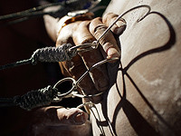 Опубликованы подробности уголовного дела, которое потрясло израильское БДСМ-сообщество