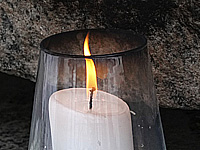 Умер бывший глава Федерации конного спорта СССР и России, сын Семена Буденного