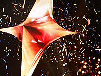 Финалистка шоу 