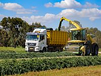 JFNA помогут фермерам Западного Негева восстановить свои хозяйства после нападения ХАМАСа