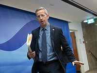 Юрсоветник отказалась поддержать просьбу правительства к БАГАЦу о продлении срока подготовки ответа