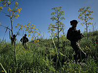 ЦАХАЛ отменил увольнительные в боевых частях