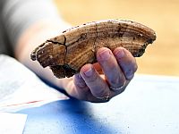 Открылся для посетителей Национальный парк 