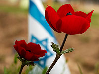 Минздрав: слухи о количестве суицидов и госпитализаций среди участников Nova неверны