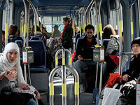 ЦСБ: смертность арабов в результате убийств в 8,2 раза выше, чем у евреев