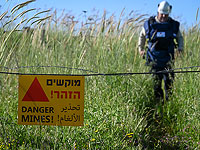 На Голанах уничтожают мины. Фоторепортаж