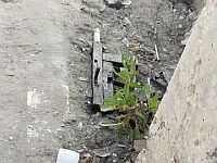 Попытка теракта в районе Хеврона: двое нападавших нейтрализованы