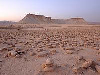 Как выживают микробы в пустыне Негев: они умеют ждать