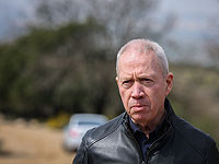 Галант у границы с Сирией: 