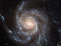 Спиральная галактика Messier 101 (M 101)