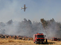 Возле поселка Хамра сгорели 50 дунамов полей: подозревают поджог