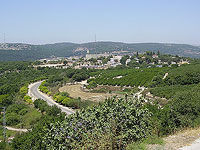 ЦАХАЛ: из Ливана был обстрелян район поселка Шомера, тревоги не было