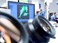 С помощью ультразвука можно управлять клеточными структурами глубоко внутри тела