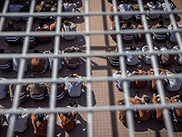 Военно-политический кабинет принял решение о допуске наблюдателей к боевикам 