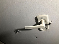 18-летняя Нога Вайс впервые дала интервью после освобождения из плена ХАМАСа