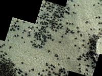 Опубликованы снимки 