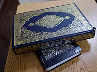 СМИ: христианская активистка сожгла в Стокгольме Коран