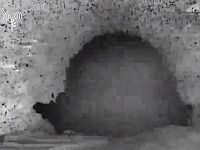 ЦАХАЛ ночью атаковал объекты 