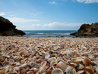 В районе Кармель найдено поселение, процветавшее 8000 лет назад, несмотря на засуху и похолодание