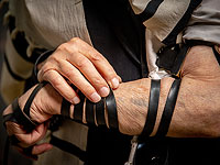 В Израиле живут 131666 переживших Холокост, 22,5% из них старше 90 лет