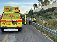 Мужчина тяжело травмирован предметом, упавшим на него из грузовика