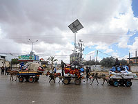 ХАМАС объявил о замораживании переговоров. Египет призывает 