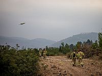 Пожарная авиация направлена на тушение лесного пожара возле иерусалимского района Рамот