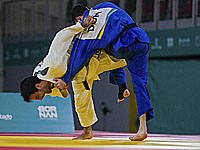 Дзюдо. Турнир 