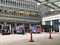 В США умер первый пациент, которому была пересажена почка свиньи