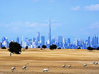 Финансисты 