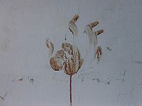 Daily Mail публикует допрос отца и сына из ХАМАСа, рассказавших об изнасилованиях и убийствах 7.10