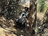 ВВС ЦАХАЛа за сутки атаковали более 50 целей в секторе. Видео