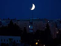 В Махтеш-Рамоне шакал покусал ребенка, вытащив его из палатки