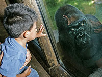 В Израиле объявлен конкурс: инвестиция $10 млн тому, кто научится говорить с животными. ИИ в помощь