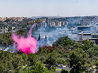 Лесной пожар в Иерусалиме, около Музея Израиля. Фоторепортаж