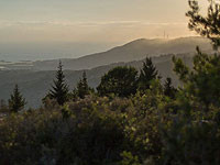 Сигнал тревоги в Нагарии и окрестностях. Поступают сообщения о пожаре