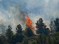 Север Израиля горит после атак