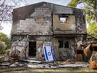 Спустя 8 месяцев с 