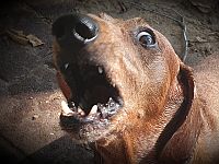 Искусственный интеллект помогает понять