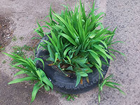 Как часто мы 