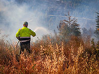 Пожар возле поселения Ицхар, сохраняется опасность для домов