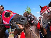 Ритуал обращения за защитой к духам в Камбодже. Фоторепортаж