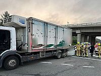 ДТП на севере Израиля: двое погибших, один в тяжелом состоянии