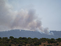 Тревога в Верхней Галилее, пожар около Метулы