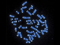 Ученые нашли