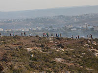 ДНК активиста