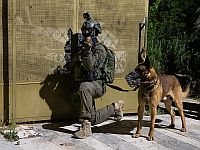 Действия ЦАХАЛа в Иудее и Самарии в ночь на 21 мая: операции в районах Шхема, Тубаса, Хеврона